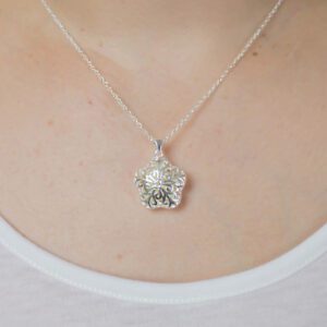 Estrella collar Cromoterapia( Azul) - Imagen 3